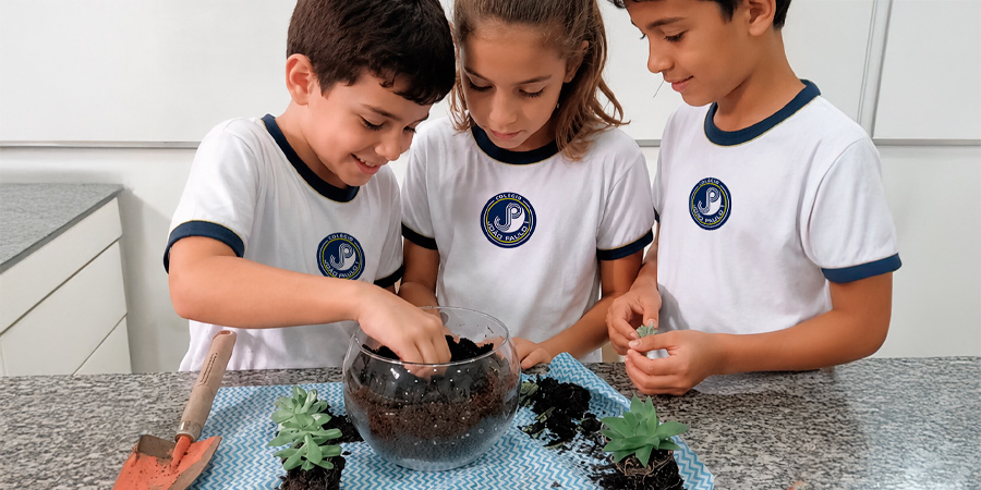 Curiosidade infantil favorece descobertas e aprendizagem